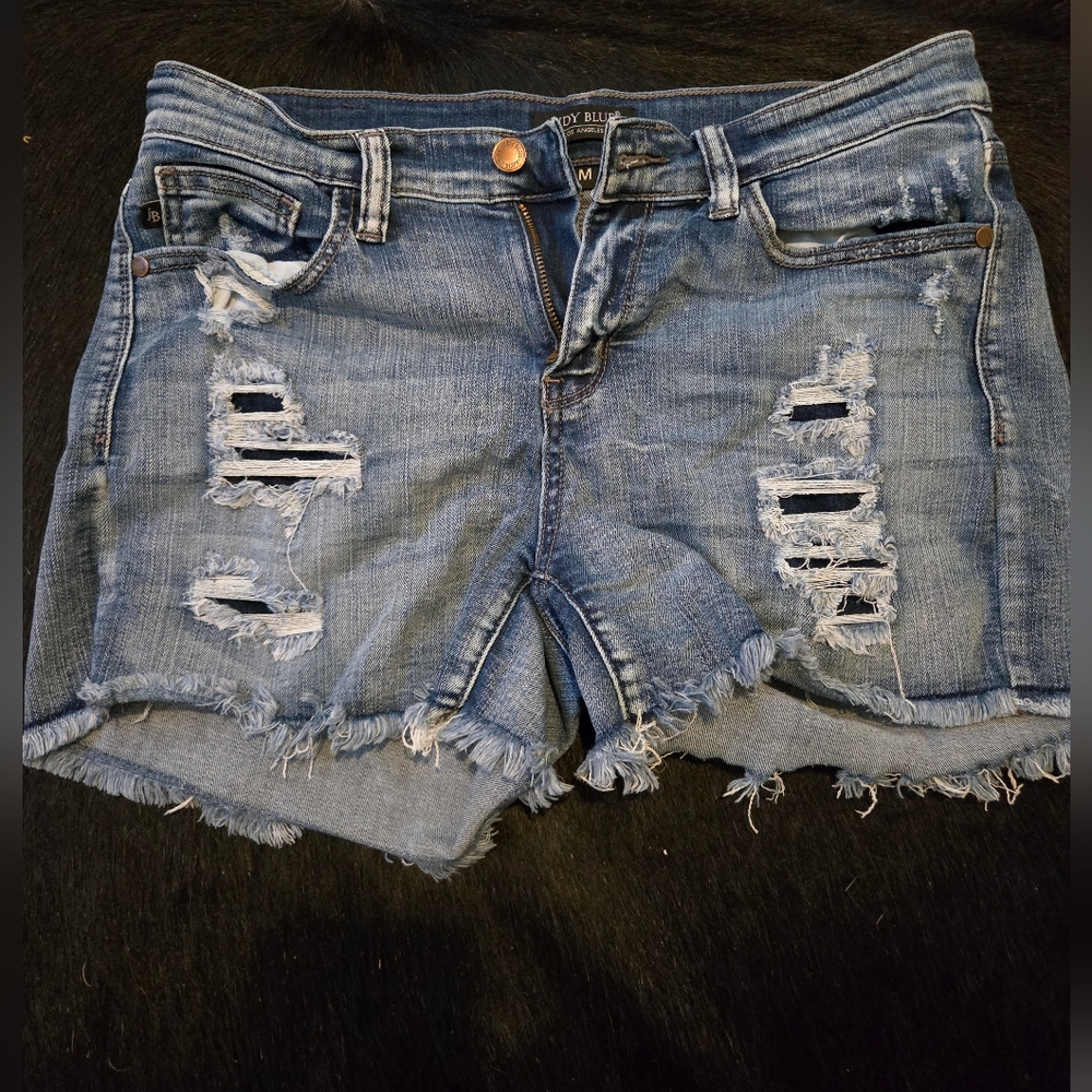 Judy Blue Shorts